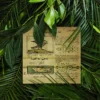 پرونده معبد آزتک ها - Image 3